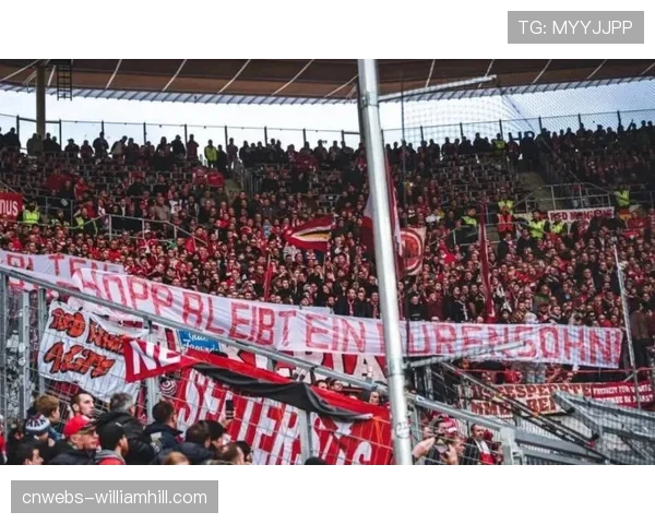 球迷行为规范条例更新，德甲赛场安全升级